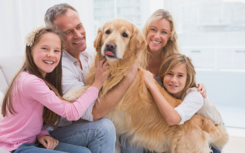 Apartamentos à venda – Permitem Animais (cachorros) em Itapema SC – Dicas
